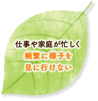 仕事や家庭が忙しく頻繁に様子を見に行けない